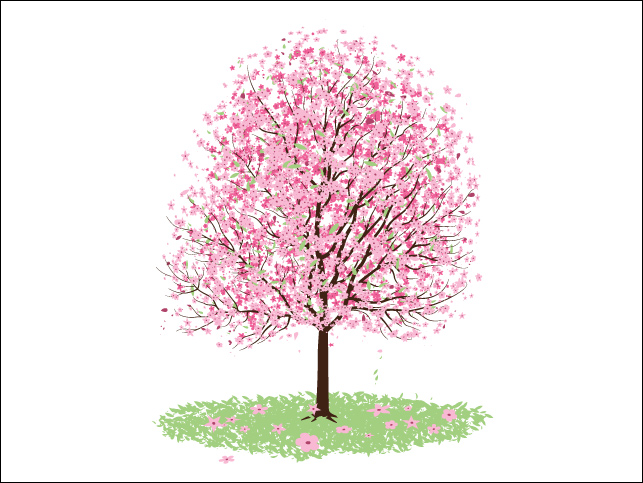 Cherry Blossom Tree Clip Art