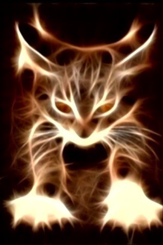 Ferocious Kitty iPhone Wallpaper