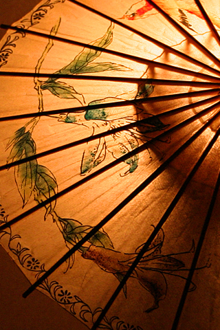 Umbrella iPhone Wallpaper