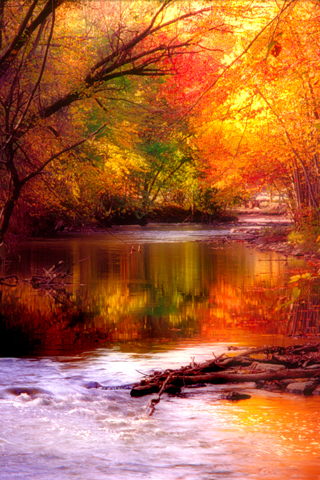 Wallpaper Designs on Fall Season Iphone Wallpaper Tweet Autumn Big Color Colour Fall Nature