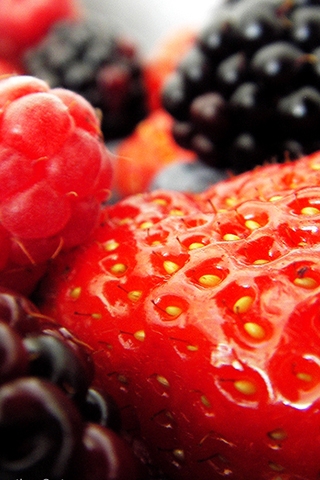Berries iPhone Wallpaper