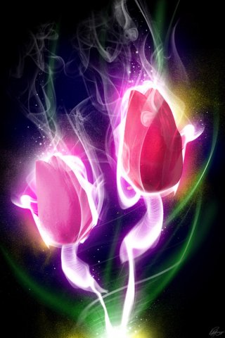 Hot Flower iPhone Wallpaper
