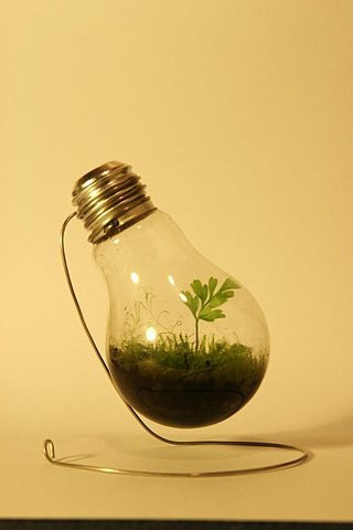Environmental Bulb iPhone Wallpaper