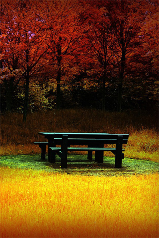 Autumn Benched iPhone Wallpaper