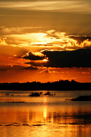 Evening Marsh Iphone Wallpaper Idesign Iphone