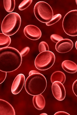 Red Blood Cells iPhone Wallpaper