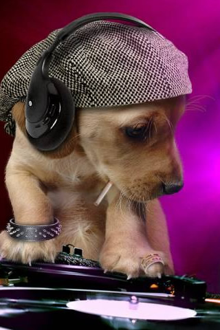 DJ Puppy iPhone Wallpaper