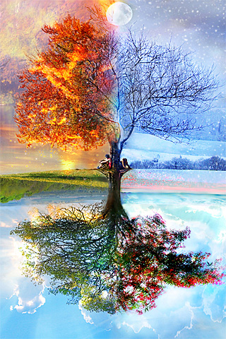 Wallpaper Designs on Four Seasons Iphone Wallpaper Tweet Abstract Fall Four Season Spring