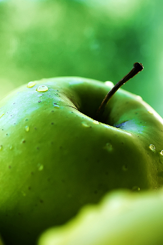 Green Wallpaper on Green Apple Iphone Wallpaper Tweet Apple Closeup Fruit Green