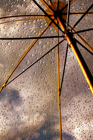 Umbrella by Ursula Abresch iPhone Wallpaper