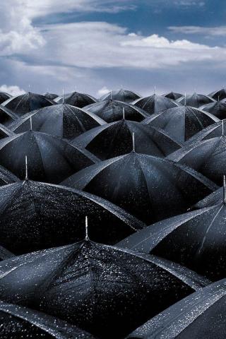Umbrellas iPhone Wallpaper