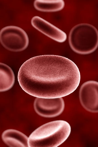 blood cells microscope. Blood Cell iPhone Wallpaper