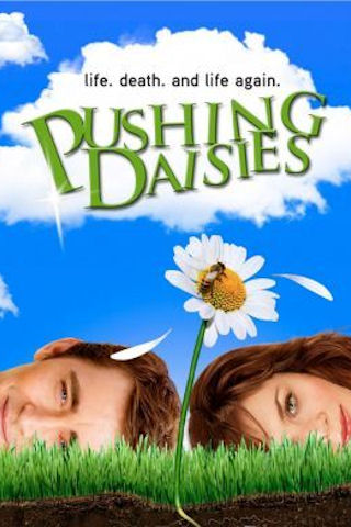 Pushing+daisies+wallpaper