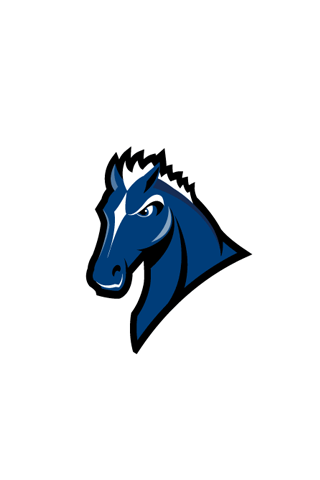 Indianapolis Colts Logo iPhone Wallpaper