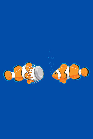 funny clown fish