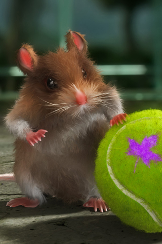 Hamster Tennis