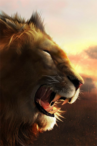 Angry Lion iPhone Wallpaper