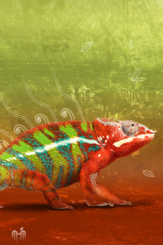 Colorful Chameleon iPhone Wallpaper