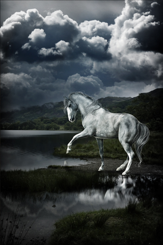 Beautiful Horse iPhone Wallpaper