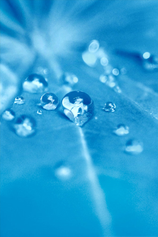 Blue Rain Drop iPhone Wallpaper