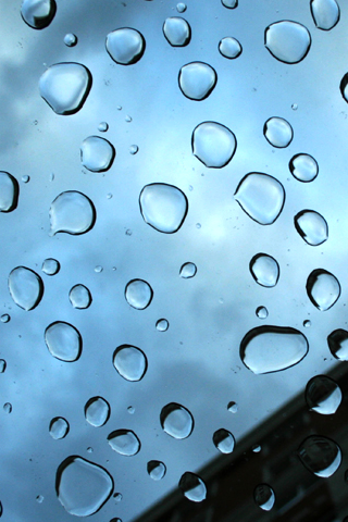 Rain Drops iPhone Wallpaper