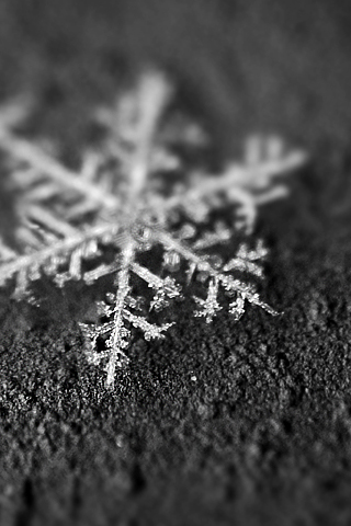 Snowflake Closeup iPhone Wallpaper